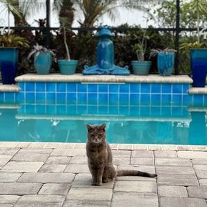 Meet your Posher, Michele